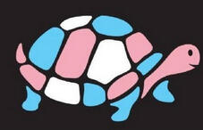 A turtle with the transgender pride flag's color scheme.